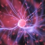vLLM PagedAttention Tensor Cache Memory Optimization Architecture